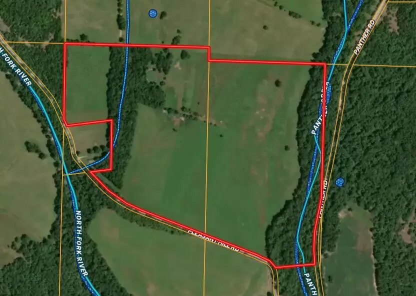 000 Pleasant Hill Road, Mountain Grove, MO 65711 - #2