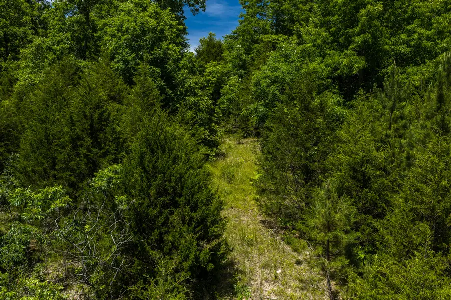Tbd Timberhill Road-tract 1, Raymondville, MO 65555 - #3