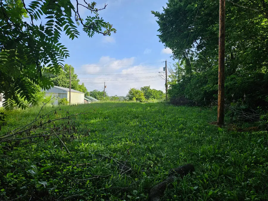 401 E Webster Avenue, Ava, MO 65608 - #2