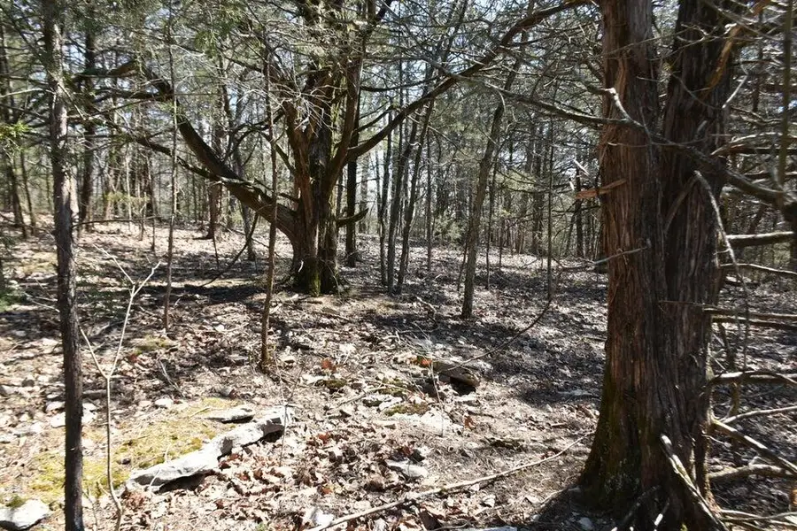 000 Burk Road, Highlandville, MO 65669 - #2