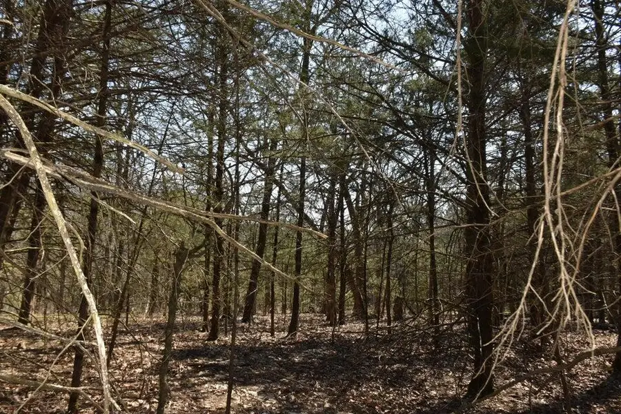000 Burk Road, Highlandville, MO 65669 - #3
