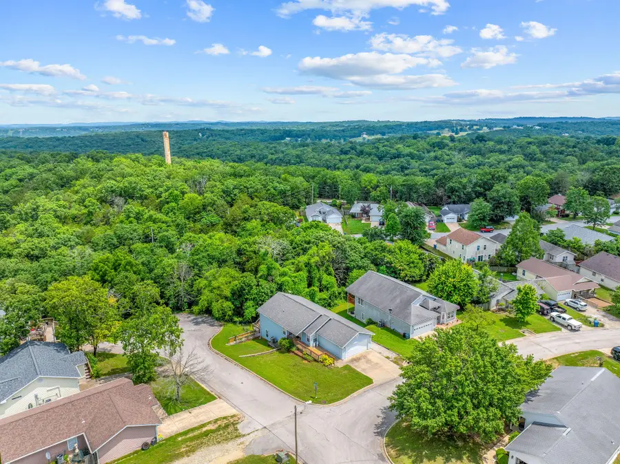 280 Quail Run Road, Branson, MO 65616 - #3