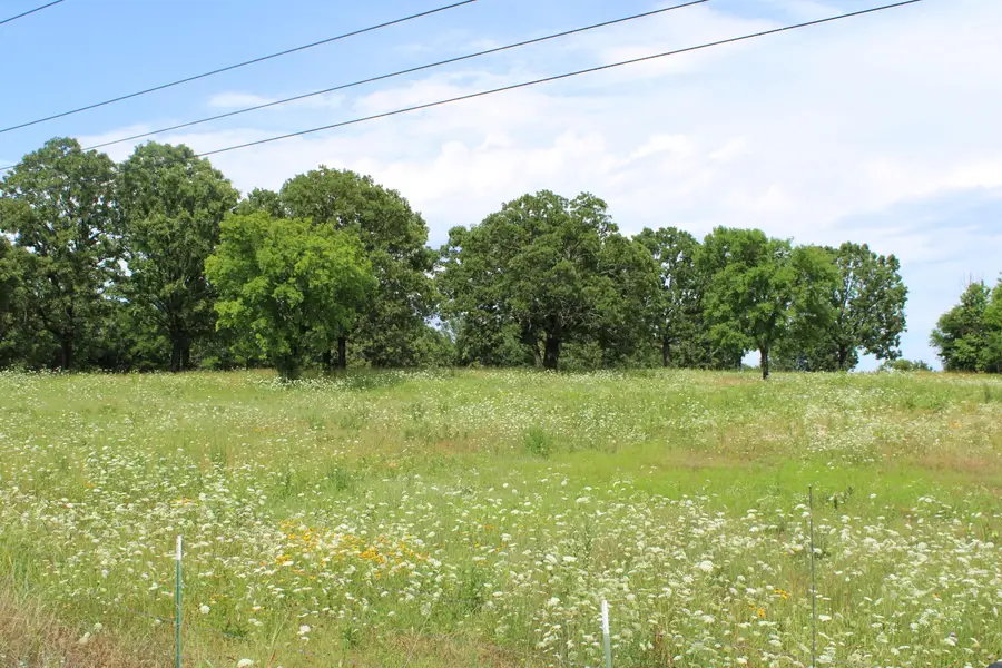 000 Dean Road, Protem, MO 65733 - #2