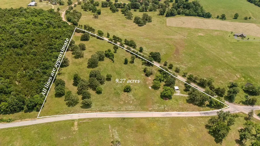 000 Dean Road, Protem, MO 65733 - #3