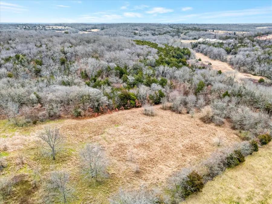 490 Highway W, Walnut Grove, MO 65770 - #3