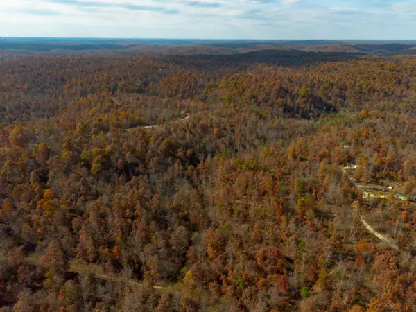 15682 Winding Trail, Birch Tree, MO 65438