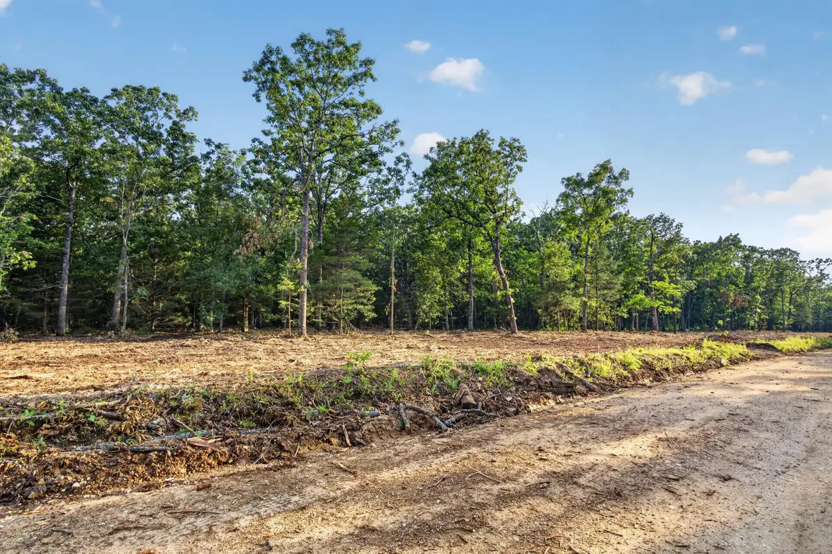 004 Cantrell Road, Mansfield, MO 65704 - #1