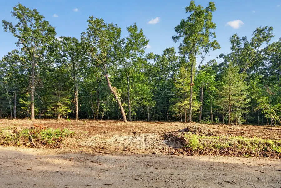 004 Cantrell Road, Mansfield, MO 65704 - #2