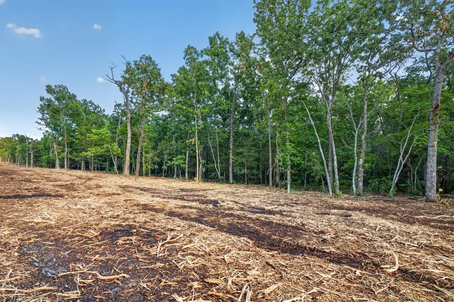 004 Cantrell Road, Mansfield, MO 65704 - #3