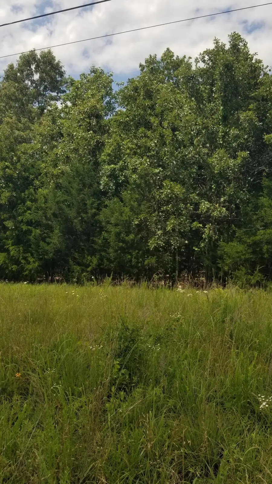 Address Withheld By Seller, Thayer, MO 65791 - #2