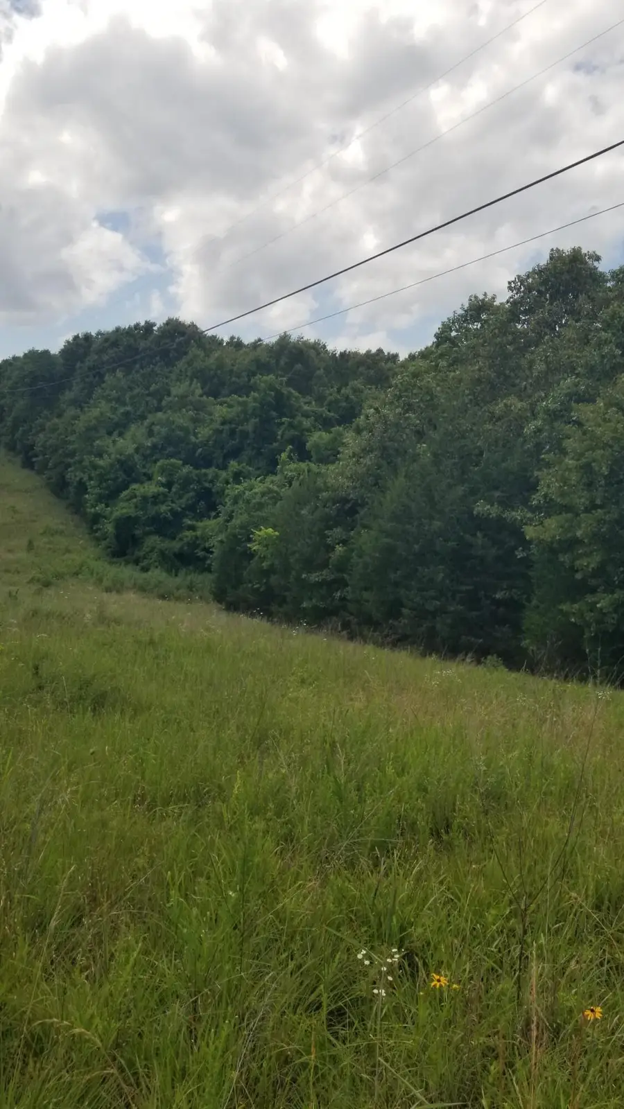 Address Withheld By Seller, Thayer, MO 65791 - #3