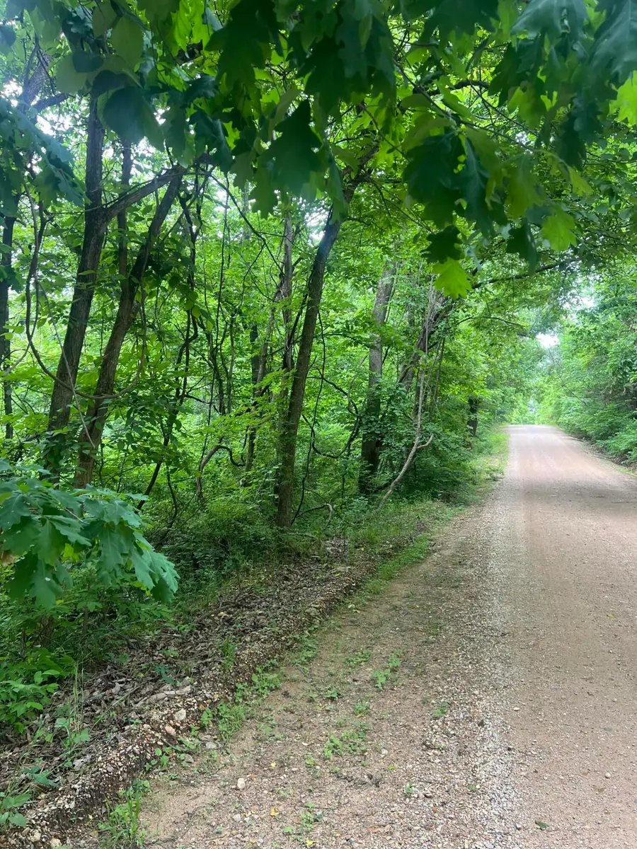 6387 W County Road 76-436, Ava, MO 65608 - #2