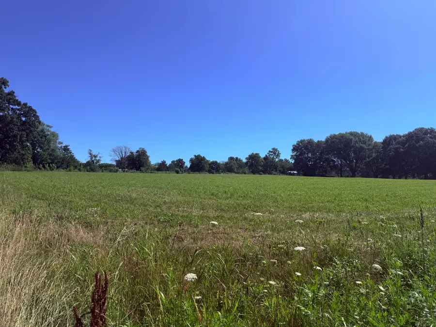 Tbd Missouri 245, Dadeville, MO 65635 - #2