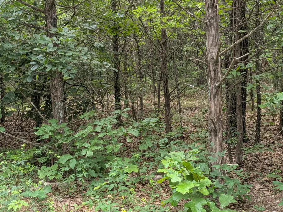 47,49,51 N Heatherwood Street #Lots 47,49,51, Shell Knob, MO 65747 - #3