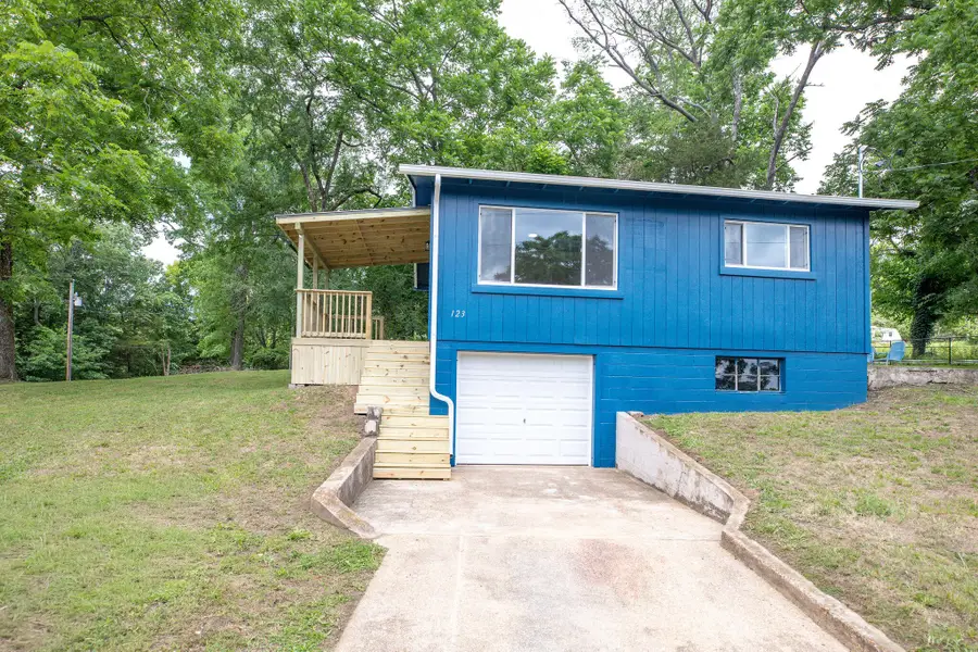 123 Lakeview Drive, Forsyth, MO 65653 - #3