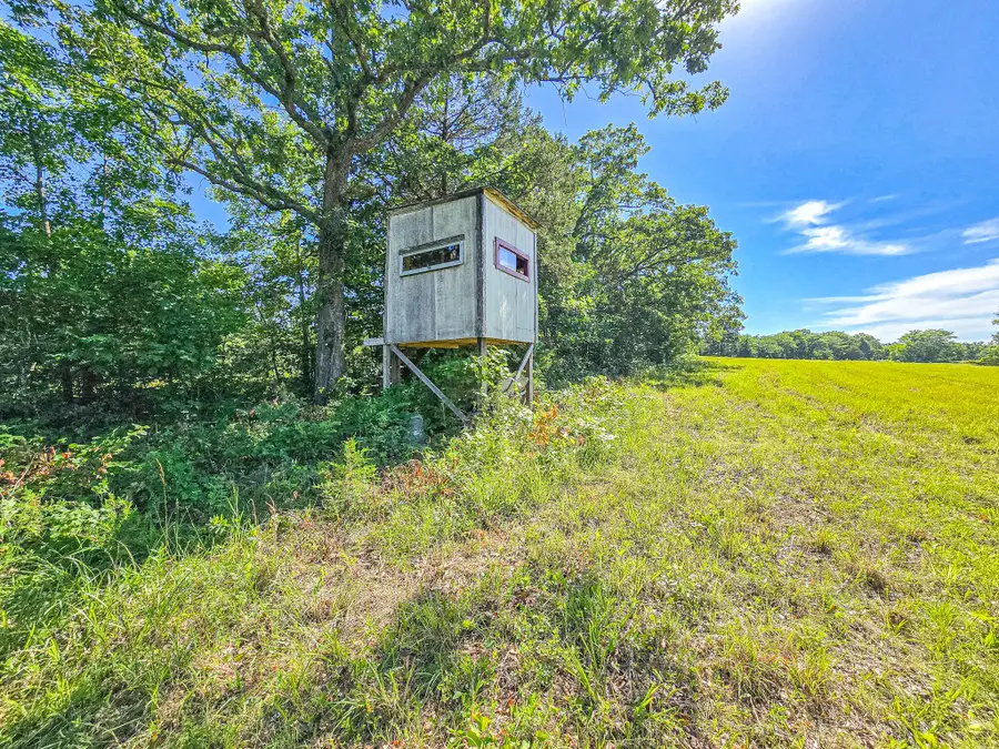 000 County Road 8c, Cross Timbers, MO 65634 - #3