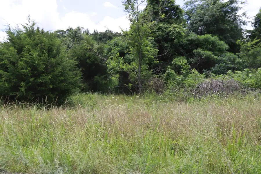 000 Private Rd 5346, Willow Springs, MO 65793 - #2