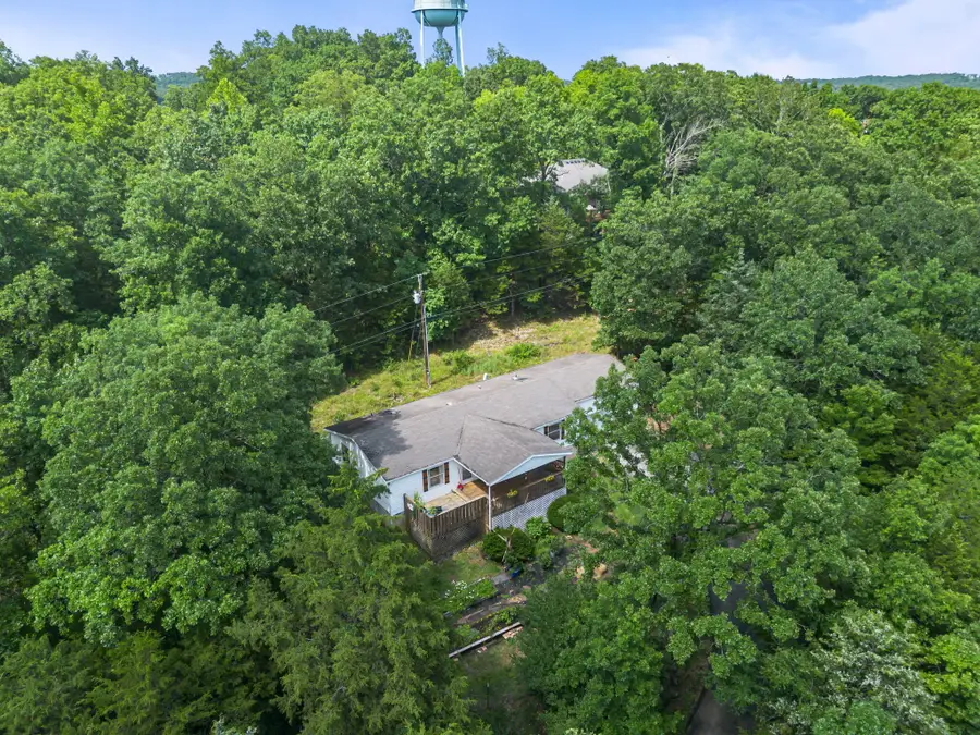 500 Wallace Drive, Rockaway Beach, MO 65740 - #2