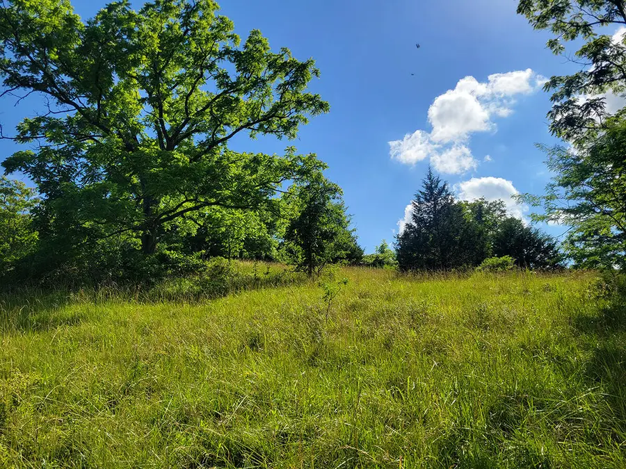 000 Highway Uu And Merritt Road, Chadwick, MO 65629 - #3