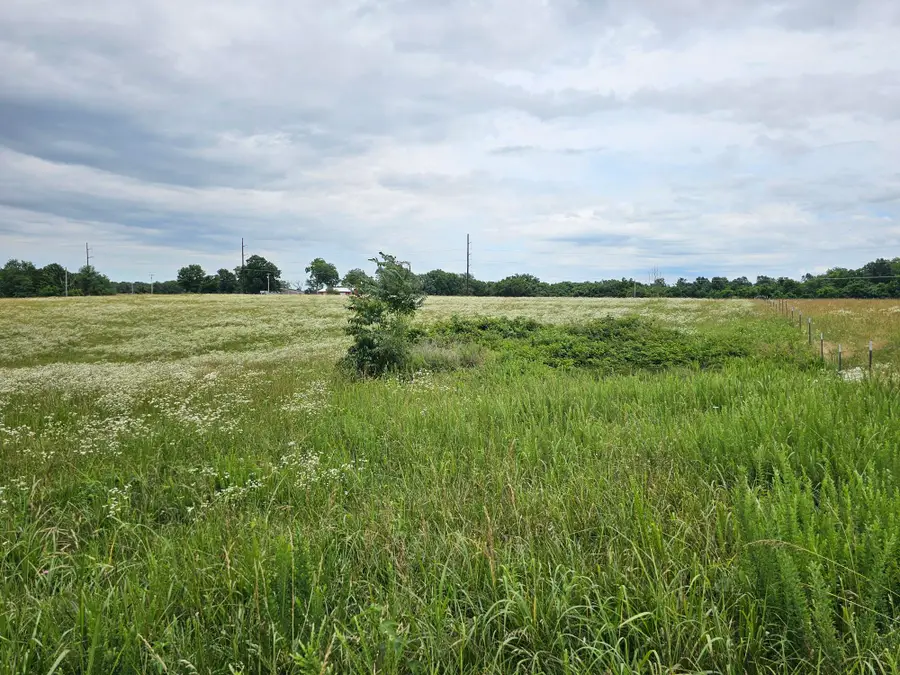 Lot 9 Lightning Bug Lane, Goodman, MO 64843 - #2