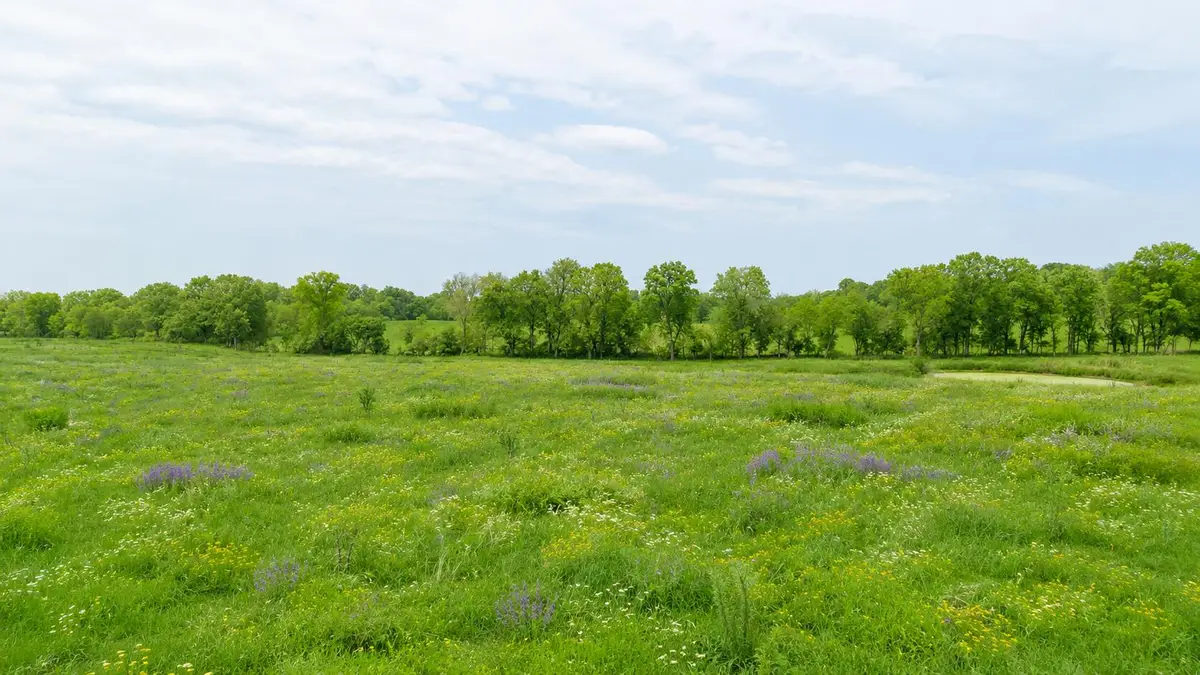 000 County Road 417, Alton, MO 65606 - #1