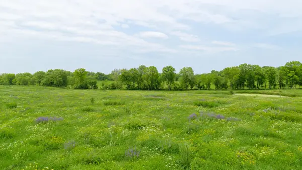 000 County Road 417, Alton, MO 65606