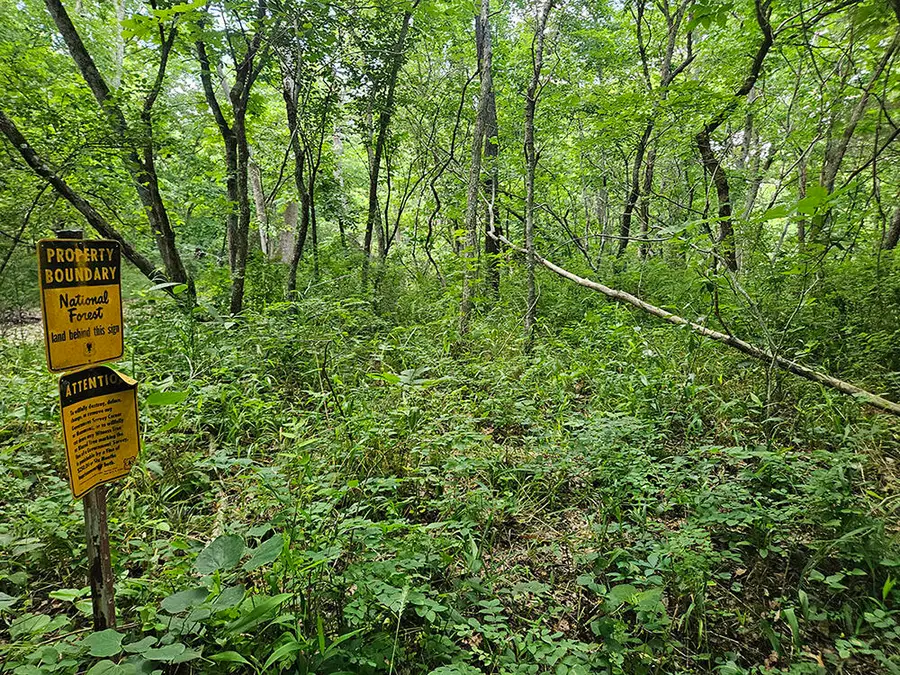 00 Forest Road 7989, Plato, MO 65552 - #2