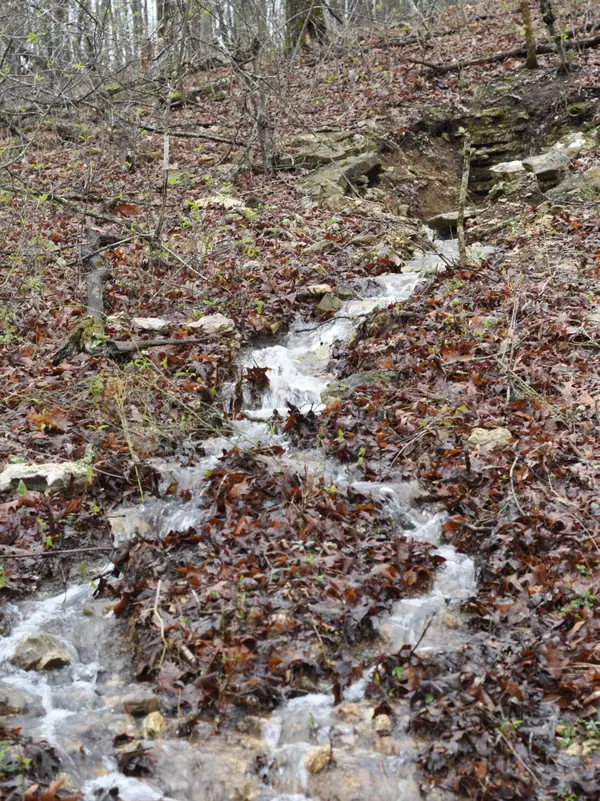 000 Highway Y, Elk Creek, MO 65464