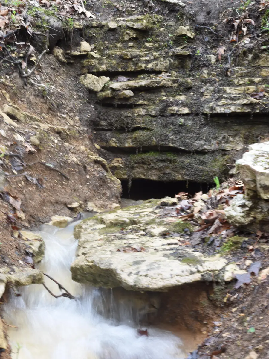 000 Highway Y, Elk Creek, MO 65464 - #3