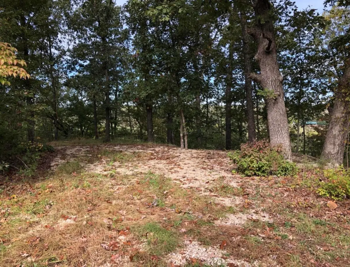 000 Clear Springs Trail, Windyville, MO 65783 - #1