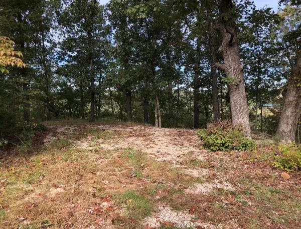 000 Clear Springs Trail, Windyville, MO 65783