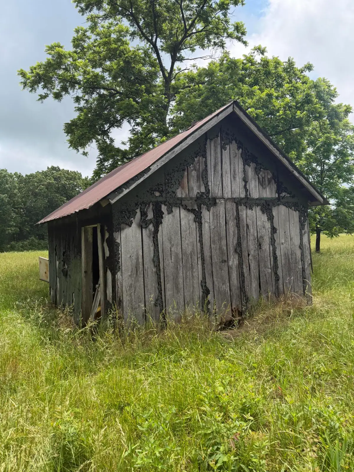 1510 State Highway Z, Bruner, MO 65620 - #1