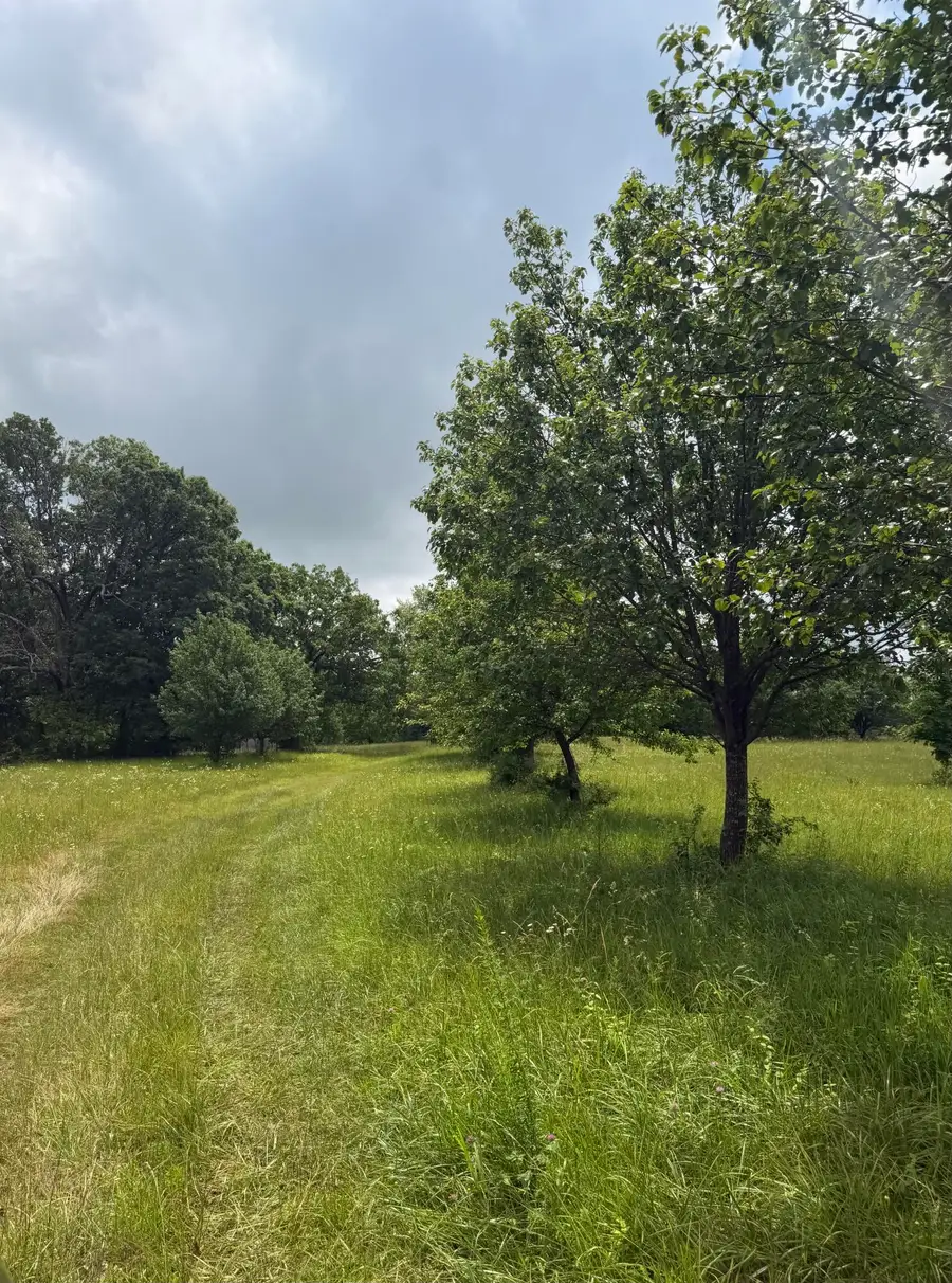 1510 State Highway Z, Bruner, MO 65620 - #3