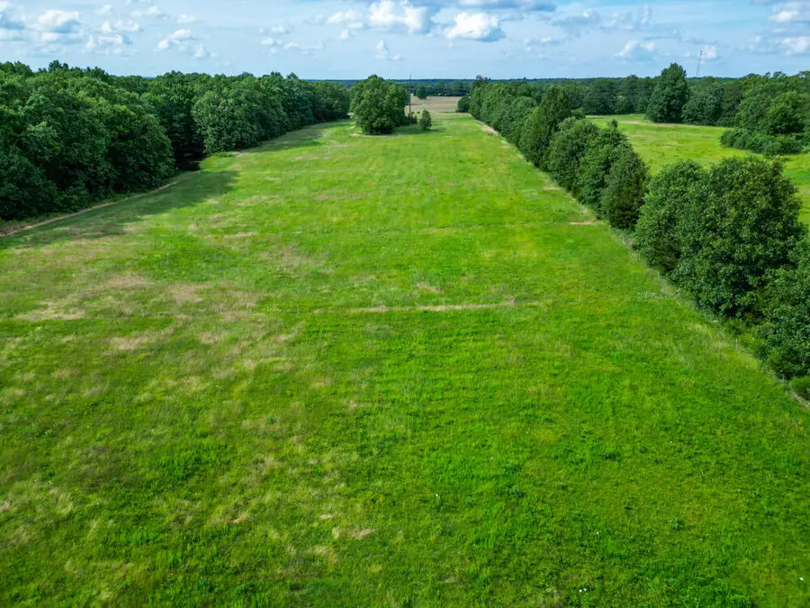 10175 Doe Run Road, Phillipsburg, MO 65722 - #2