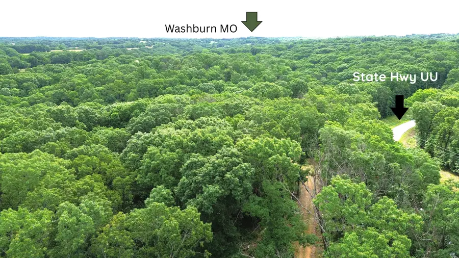 Tbd State Highway Uu #000, Washburn, MO 65772 - #2