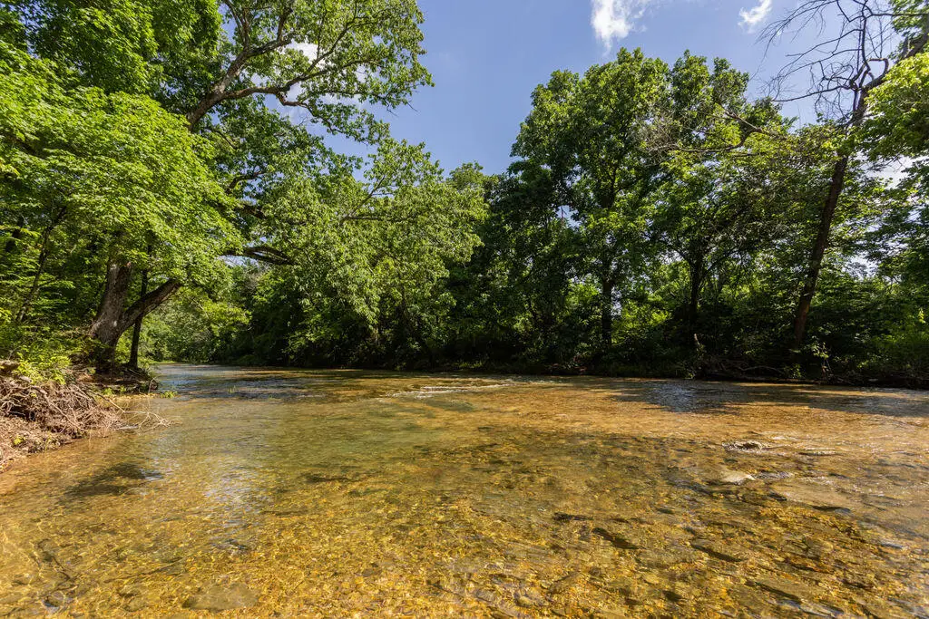 000 County Road Dd 447, Chadwick, MO 65629 - #1