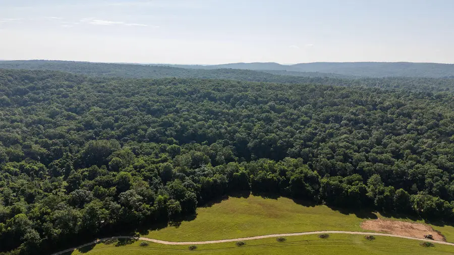 000 County Road Dd 447, Chadwick, MO 65629 - #3