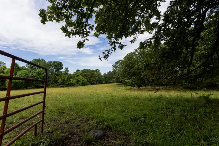00 S 220th Road, North Green, MO 65663 - #3