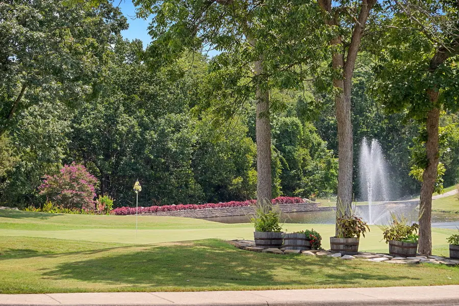 305 Wimbledon Drive #8, Branson, MO 65616 - #3