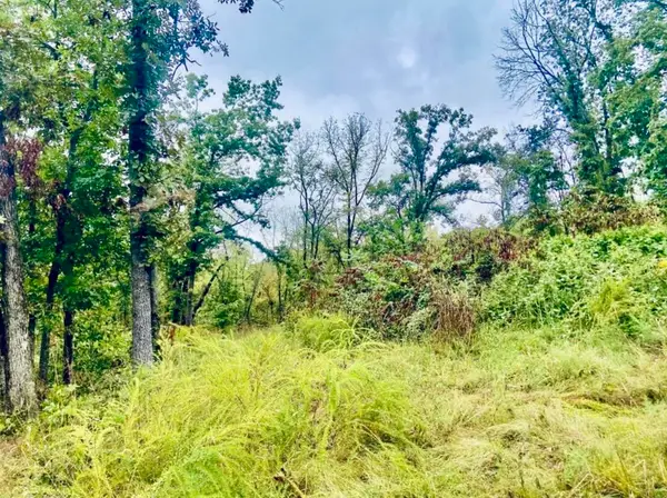 294 E Dade 68, Greenfield, MO 65661