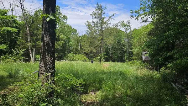 Tbd- 000 S Bonnie Lee Lane, Rogersville, MO 65742