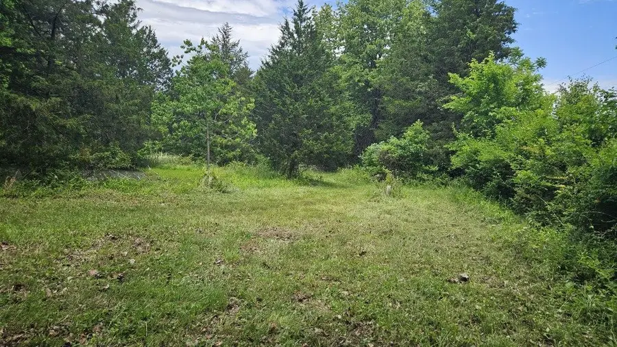 Tbd- 000 S Bonnie Lee Lane, Rogersville, MO 65742 - #2