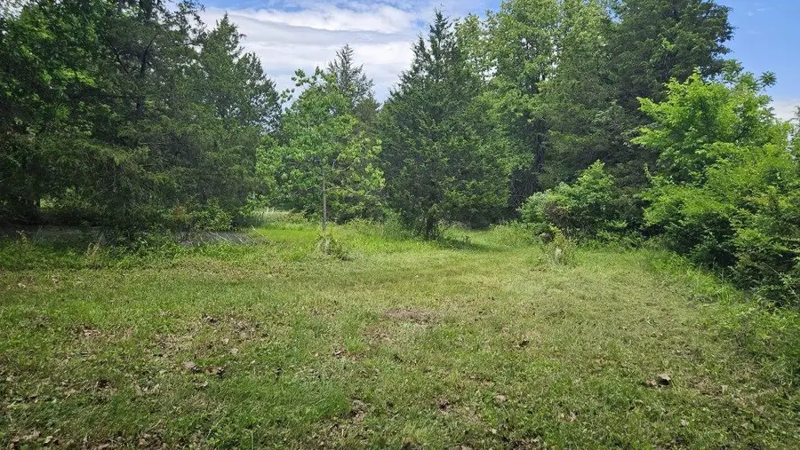 Tbd- 000 S Bonnie Lee Lane, Rogersville, MO 65742 - #3