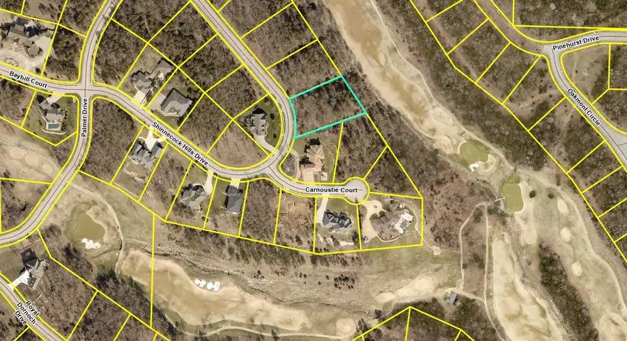 Lot 16 Shinnecock Hills Drive, Branson, MO 65616 - #2