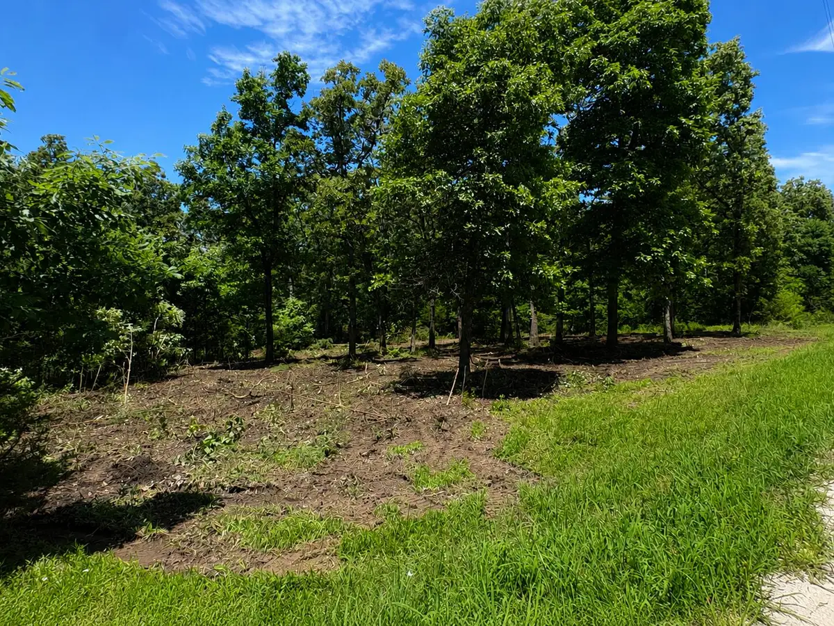 000 Country Place Drive, Urbana, MO 65767 - #1
