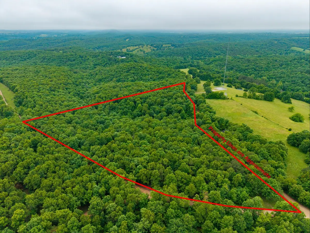 000 Co Rd 519 #Tract 3, Hardenville, MO 65666 - #1