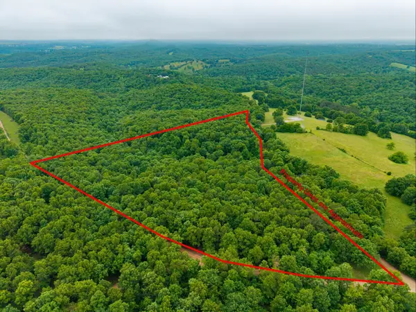 000 Co Rd 519 #Tract 3, Hardenville, MO 65666
