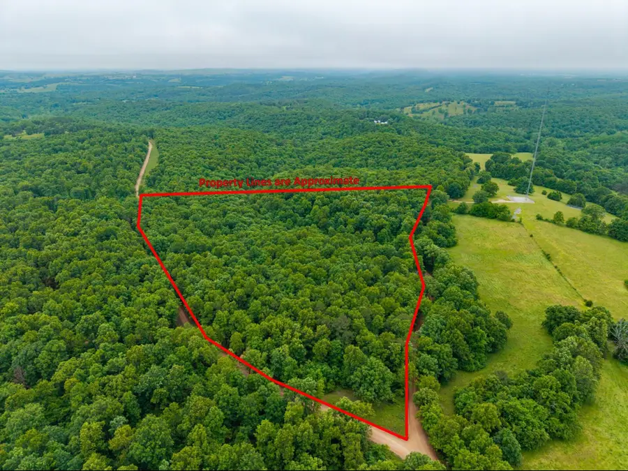 000 Co Rd 519 #Tract 3, Hardenville, MO 65666 - #3