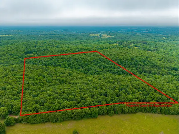 000 Co Rd 519 #Tract 2, Hardenville, MO 65666