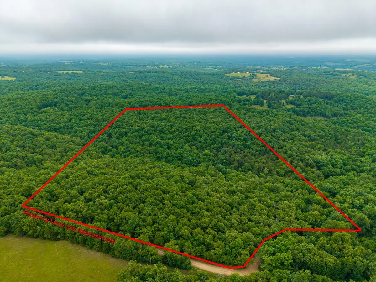 000 Co Rd 519 #Tract 1, Hardenville, MO 65666 - #1